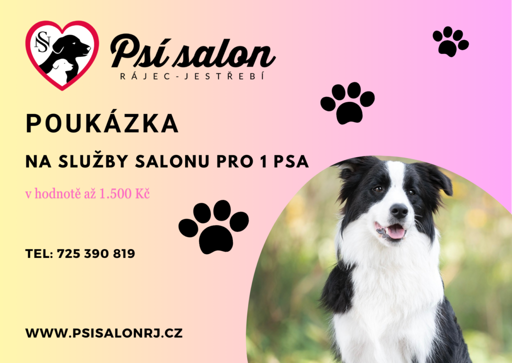 Dárková poukázka na služby salonu